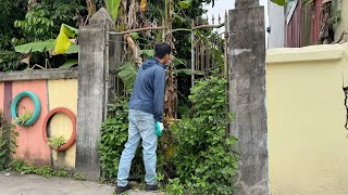 Transforming an overgrown garden in an abandoned house  Cleaning up an abandoned house [upl. by Htomit]