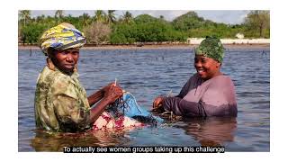 Seaweed Farming Coastal Livelihoods Environmental Management Project [upl. by Vasiliu]