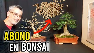 ⚠ COMO HACER UN BONSAI quotABONOquot ⚠ [upl. by Rana478]