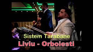 Sistemul tarabanelorTrankilaLiviu de la Orboiesti manele live majorat 2011 [upl. by Juliano]