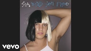 Sia  Bird Set Free Audio [upl. by Esinaej]