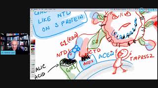 Galectin Inhibitors Viral Infections Inflammation [upl. by Birch236]