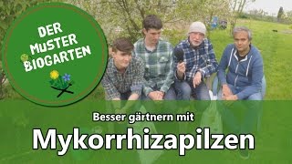 Wie Mykorrhiza Pilze im Garten Ihre Ernte verbessern können [upl. by Hedva58]