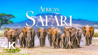 African Safari 4K • Wildlife Relaxation Film with Peaceful Relaxing Music and Animals Video Ultra HD [upl. by Granthem]