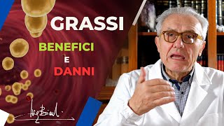 I GRASSI e il loro ruolo NELLA DIETA BENEFICI e DANNI [upl. by Rehpinnej]