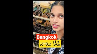 ఆదివారం స్పెషల్ కోడిపుంజు 🐓🐓 Chicken Shop in Bangkok  Bangkok TeluguVlogs BangkokPilla [upl. by Llennahs944]