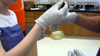 Lab Demo  Preparation of Antacid A Titration Mixture 009 [upl. by Swaine]