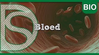 Biologie  Bloed Bloedsomloop [upl. by Nottarts58]