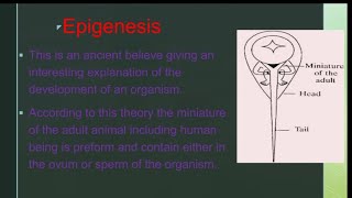 What is Epigenesis biology Epigenesisviralvideo easy noteszoologyclasses [upl. by Atinar873]