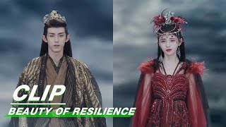 The War Has Begun  Beauty of Resilience EP36  花戎  iQIYI [upl. by Bess]