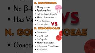 Neisseria Meningitidis Vs Neisseria Gonorrhoeae 🔬 gonorrhea meningitis bacteriology [upl. by Sivatnod476]