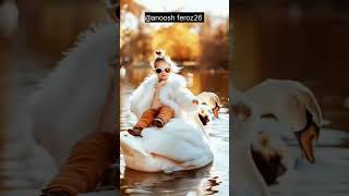 Lets ride on swan love motivation ytshorts trending animals [upl. by Sorce]