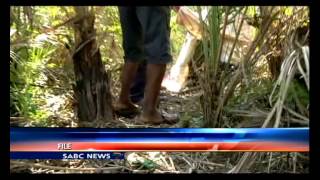 Murdered Manguzi 21 year old with Albinism laid to rest [upl. by Ecyak770]