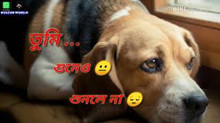 Tumi dekheo dekhle na tumi bujheo bujhle na Full whatsapp status॥💔 charpoka song [upl. by Marna181]