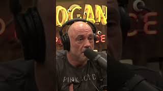 The Truth About Ibogaine  Joe Rogan [upl. by Oisor163]