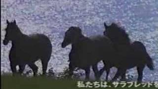 日本馬主協会連合会 [upl. by Mosira]