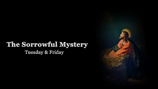 The Holy Rosary Sorrowful Mysteries with Litany Tuesday amp Friday [upl. by Nileuqay323]