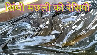 सिंघी मछली की रेसिपी II SINGHI FISH RECEIPE II FULL OF PROTIEN AND VITAMIN VERY TASTY FISH [upl. by Durer]