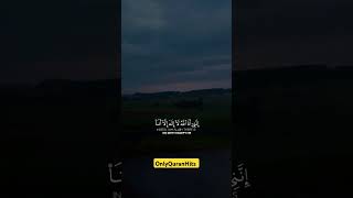 islamicvideo 1million foryou foryoupage viral islamicvideo trendingvideo dark islamic [upl. by Ahsikram]