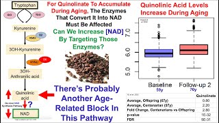 Grape Seed Proanthocyanidins Increase NAD [upl. by Eibrik]