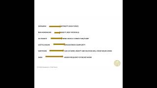 What effect do Neurotransmitters have on your training [upl. by Harneen]