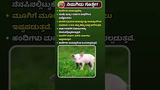 ಹಂದಿಯ ಬಗ್ಗೆ ಆಸಕ್ತಿದಾಯಕ ಸಂಗತಿಗಳು 🐷 [upl. by Ansela]