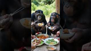 The orangutans eat really well [upl. by Franklin]