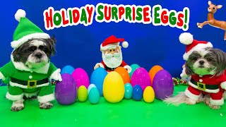 Assistant Finds Wiggles and Waggles Favorite Holiday Surprise Eggs [upl. by Jamesy70]