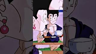 ChiChi meets Videl Gohans girlfriend dragonball dragonballz gohan chichi shorts [upl. by Anod]