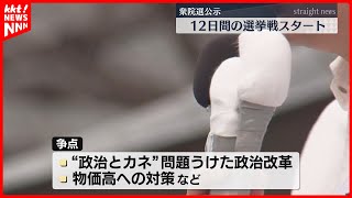 【衆院選公示】熊本の4選挙区には12人が立候補を届け出 投開票は10月27日 [upl. by Wilder]