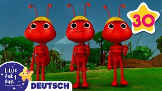 Die Ameisen marschieren  Kinderlieder  Little Baby Bum Deutsch  Cartoons für Kinder [upl. by Greene]