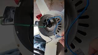 How many wires does a residual ceiling fan have [upl. by Malchy426]