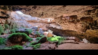 Nullarbor Cave Exploring [upl. by Morocco]