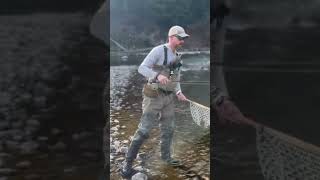 Bitterroot Cut flyfishing troutfishing trout [upl. by Ydollem510]