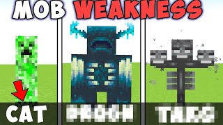 All MINECRAFT Mobs weaknesses [upl. by Nhtanhoj126]