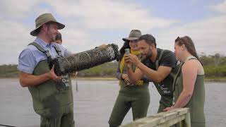 Fresh Tasmanian Oysters with Oyster Bay Tours  Its All Good Down Under  Come and Say Gday [upl. by Gayleen]