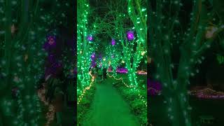 벤두센 빛 축제 VanDusen Festival of Lights 벤두센 식물원 VanDusen Botanical Garden Vancouver 캐나다 231126 [upl. by Assirahc]