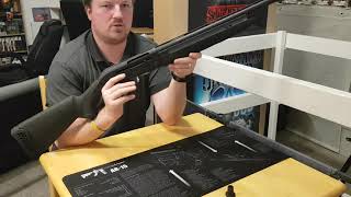 Review of the Hatsan Escort Magnum 12G Semi Auto Shotgun [upl. by Nallaf948]