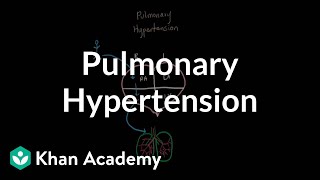 What is pulmonary hypertension  Respiratory system diseases  NCLEXRN  Khan Academy [upl. by Lesiram]