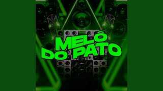 Melô do Pato Eletrônico [upl. by Phiona401]