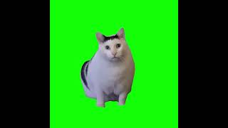 Huh Cat Original  Green Screen [upl. by Ahsiekit]