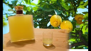 Homemade Limoncello  Italian lemon liqueur recipe [upl. by Aiouqahs]