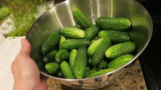 Dill Pickles with the Low Temperature Pasteurization Method Advanced [upl. by Hirst]