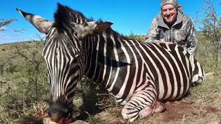 Hunting Gemsbok Impala Zebra amp White Blesbok [upl. by Nij]