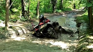 HONDA RINCON 680 MUDDING ON GORILLA SILVERBACKS [upl. by Susana]