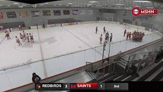 Illinois St Redbirds vs Maryville Saints  Mens DIII Hockey [upl. by Ader290]