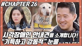 CHAPTER 26  시각장애인 안내견을 소개합니다 강형욱 개통령 개훈련사 개는 훌륭하다 ㅣ KBS방송 [upl. by Robet]