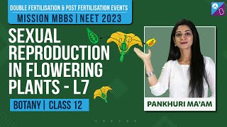 Double Fertilisation amp Post Fertilisation Events Class 12  Reproduction in Flowering Plants L7 [upl. by Clover]