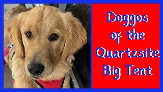 V257 Doggos Of The Quartzsite Big Tent [upl. by Eads]