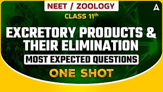 EXCRETORY PRODUCTS amp THEIR ELIMINATION ONE SHOT  BIOLOGY MOST EXPECTED QUESTIONS FOR NEET SANKALP [upl. by Ylrebmik580]